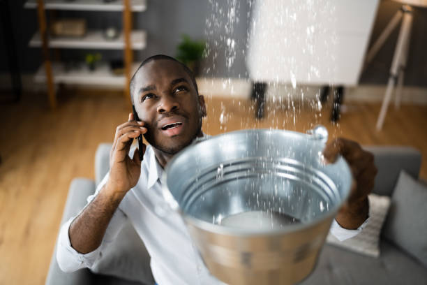 Best Water damage cleanup near me  in Bellmead, TX