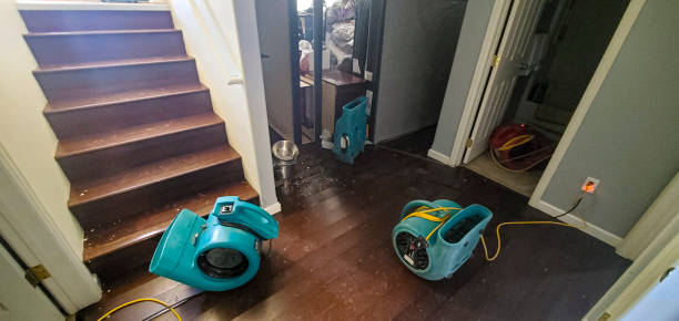 Best Carpet water damage restoration  in Bellmead, TX