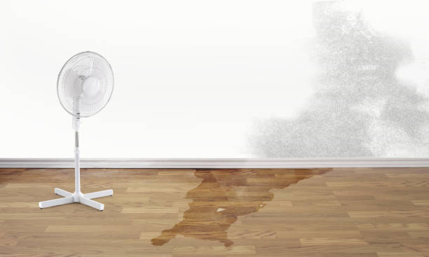  Bellmead, TX Water damage restoration Pros