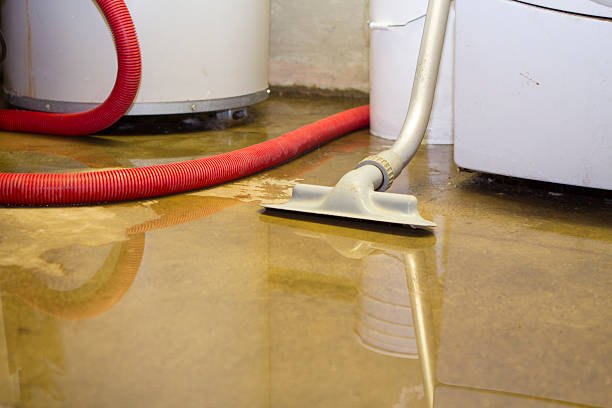 Best Water damage repair service  in Bellmead, TX